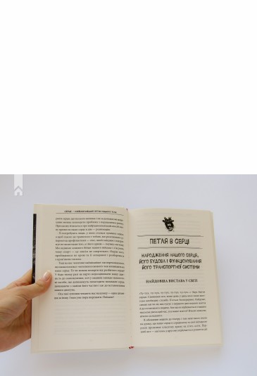 Внутрішня історія. Серце — найважливіший орган нашого тіла